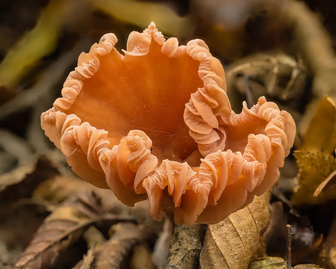 Lit Hub Daily: October 14, 2026