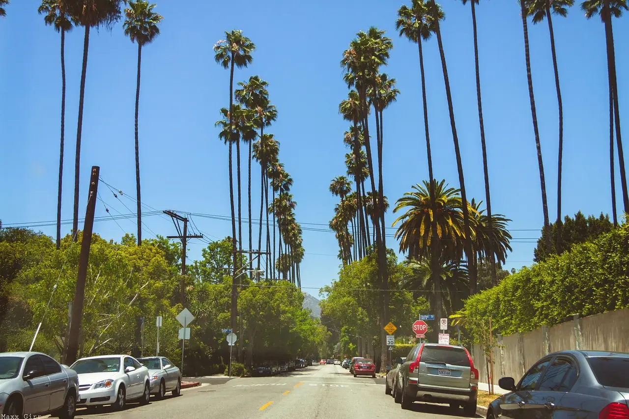 Junk review – David Schwimmer is lost in Mubi’s frustrating LA-set misstep