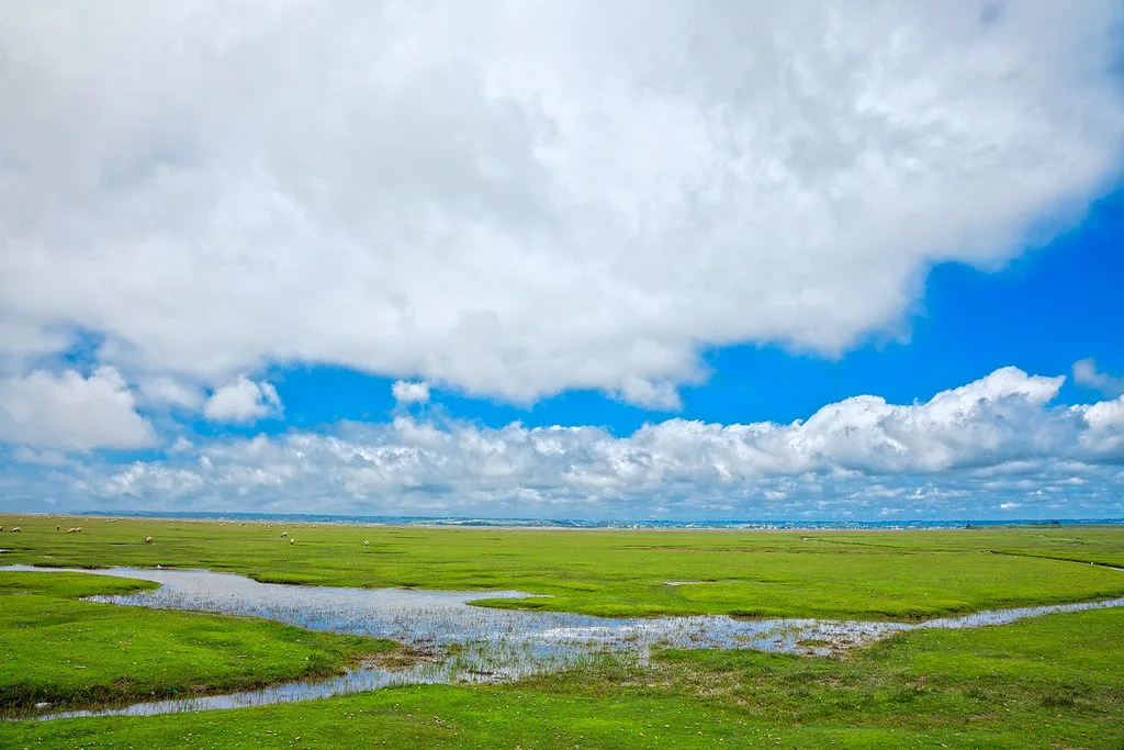 The Beautiful Plain