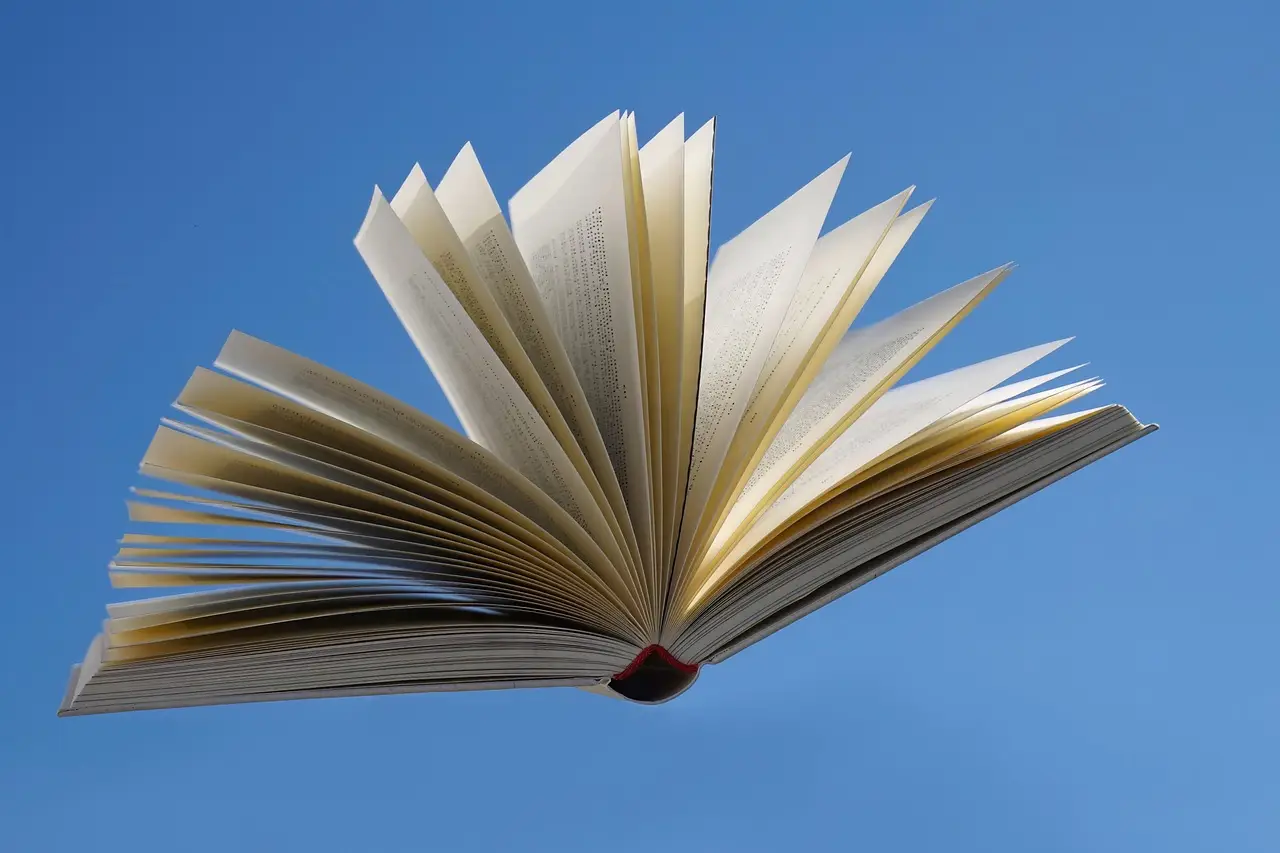 What Should You Read Next? Here Are the Best Reviewed Books of the Week